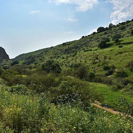 Mul Kinneret Livnim ภายนอก รูปภาพ