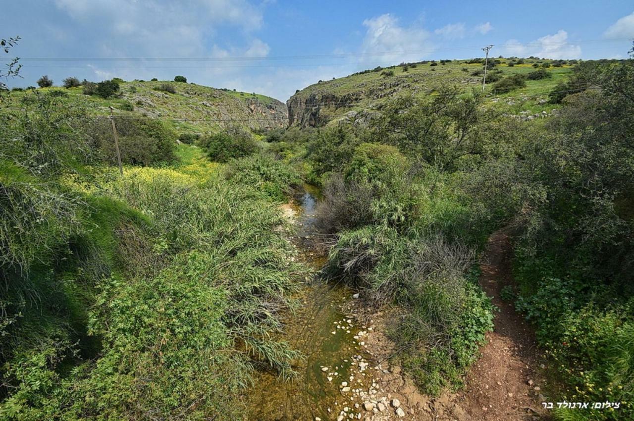 Mul Kinneret Livnim ภายนอก รูปภาพ