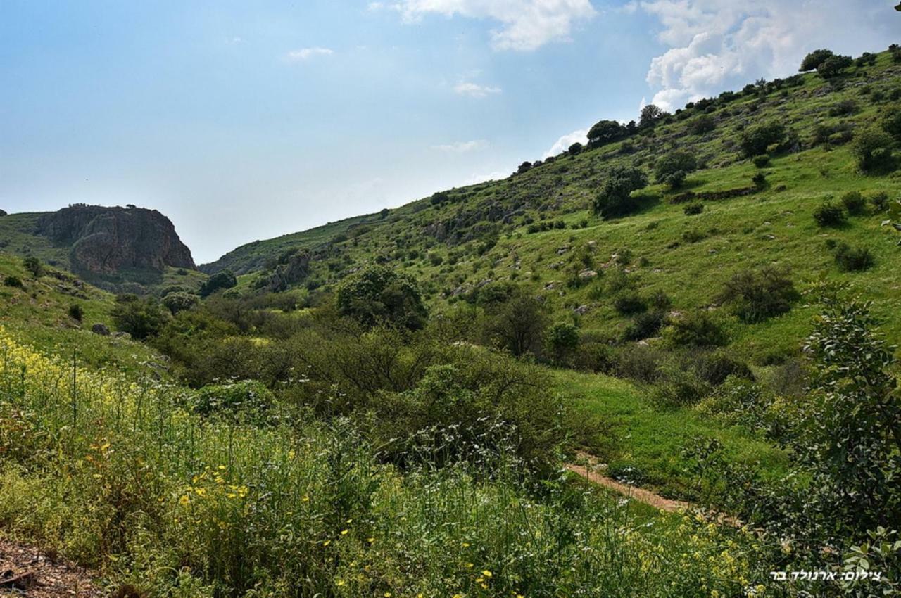 Mul Kinneret Livnim ภายนอก รูปภาพ