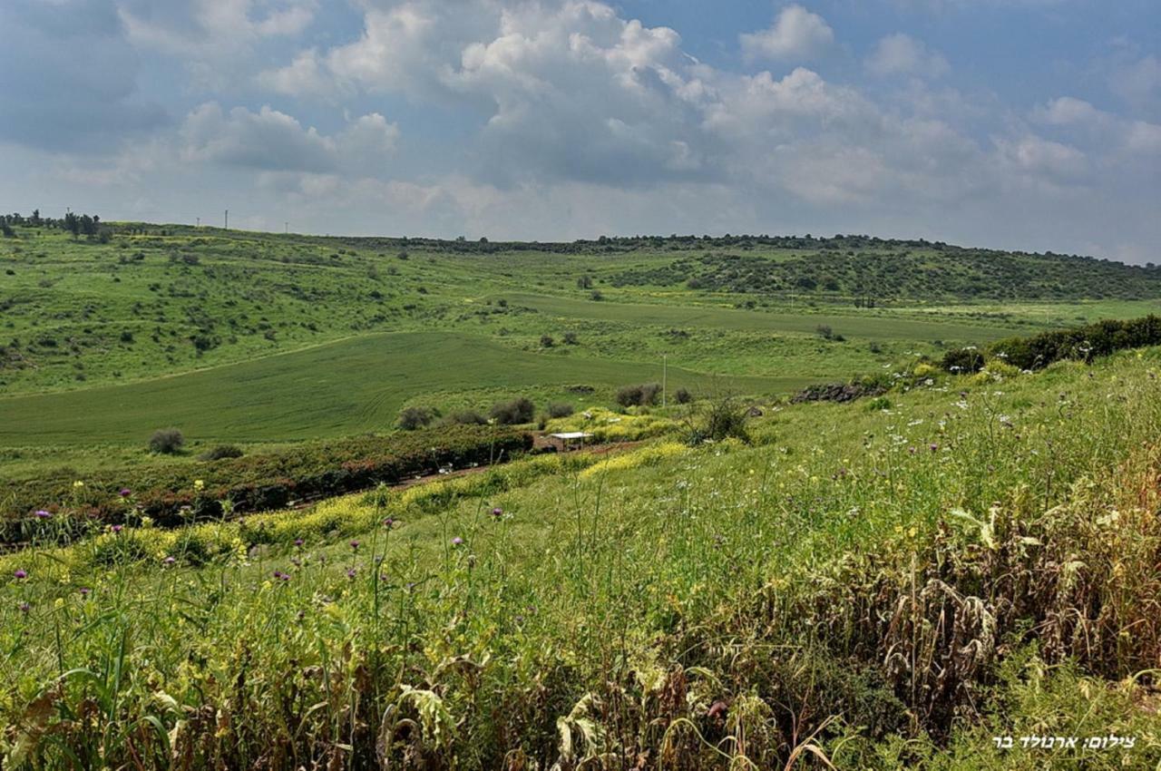 Mul Kinneret Livnim ภายนอก รูปภาพ