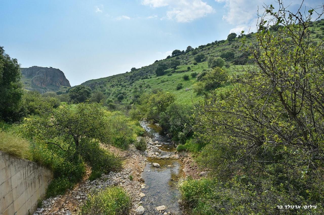 Mul Kinneret Livnim ภายนอก รูปภาพ